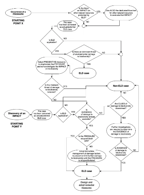 Figure 14 – Decision-making flowchart for the determination of the clues and evidence of damage to biodiversity.