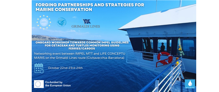 IMPEL EU Marine Transborder Transect Project: Networking event with LIFE CONCEPTU MARIS, 22-23 October, Barcelona